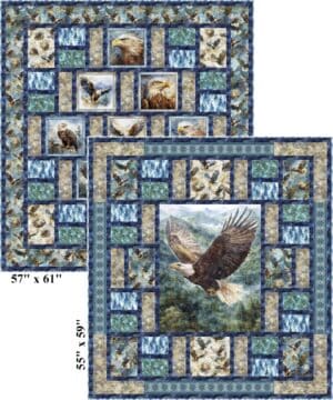 Eagle-Eye View Quilt Pattern